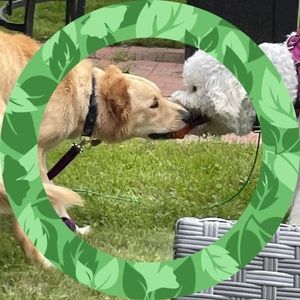 Meet your Posher, Linda